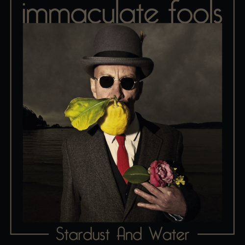 Front cover of Immaculate Fools album Stardust and Water